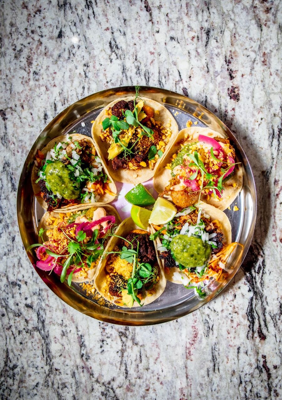 A spread of tacos on the counter